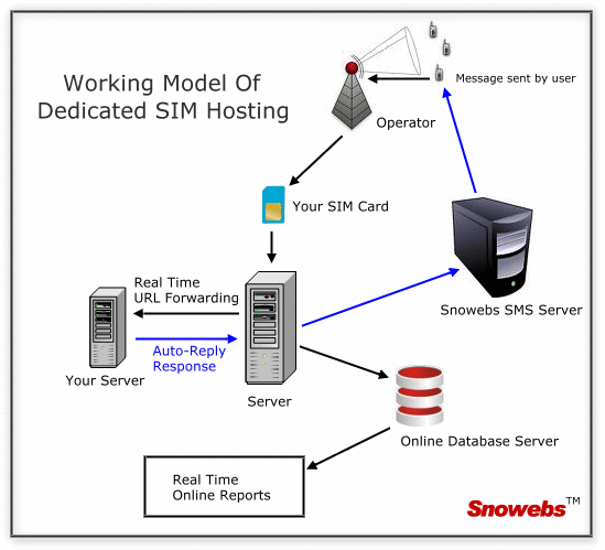 Working of dedicated SMS hosting in India, SIM Hosting India, Long code SMS Hosting