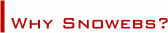 Why choose Snowebs as your supplier for Bulk SMS Software, School Software and other web services